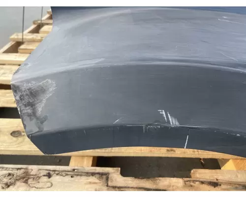 WESTERN STAR 4900FA Hood