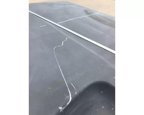 WESTERN STAR 4900FA Hood
