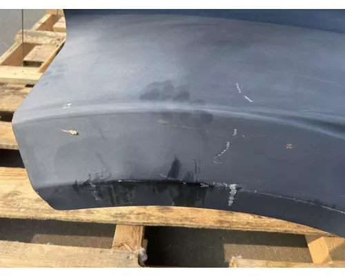 WESTERN STAR 4900FA Hood