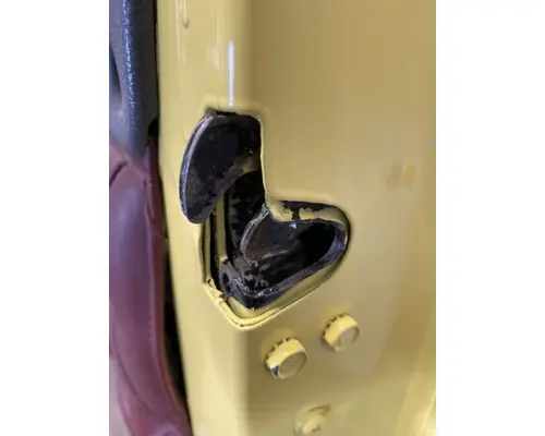 WESTERN STAR 4900 Door Assembly, Front
