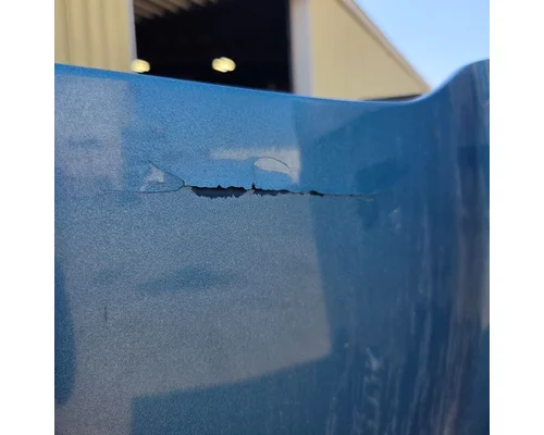 WESTERN STAR 4900 Hood