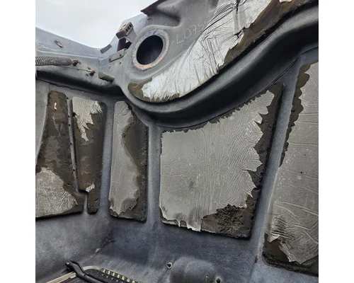 WESTERN STAR 4900 Hood
