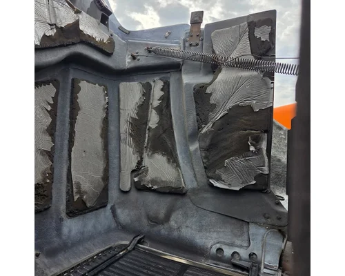 WESTERN STAR 4900 Hood