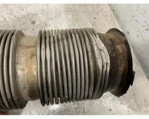 WESTERN STAR 4900 Muffler