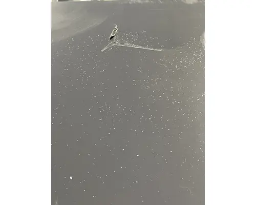 WESTERN STAR 49X SFA Hood