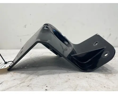 WESTERN STAR 49X Hood Hinge