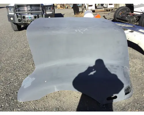 WESTERN STAR 5900 HOOD