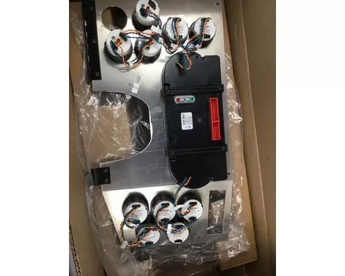 WESTERN STAR  Gauges (all)