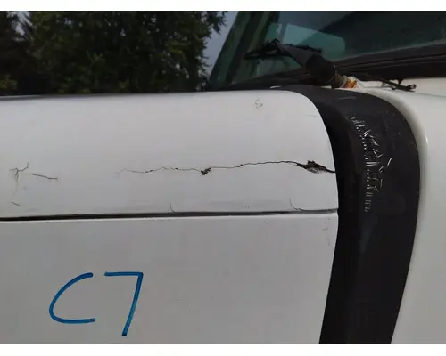 WHITE/GMC WCA HOOD