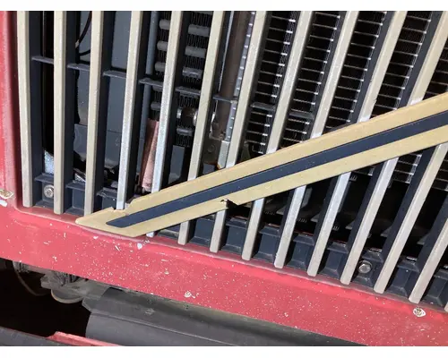 WHITE VOLVO WAH Hood