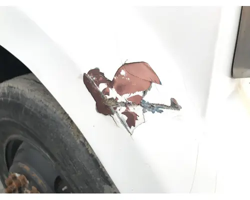 WHITE VOLVO WCS Hood