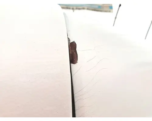 WHITE VOLVO WCS Hood
