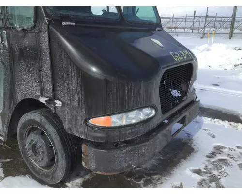 WORKHORSE W42 2005-2006 HOOD