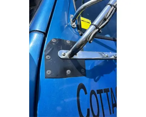 Western Star 4900SA Door Assembly, Front