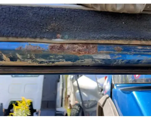 Western Star 4900SA Door Assembly, Front