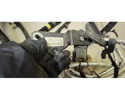   Engine Wiring Harness