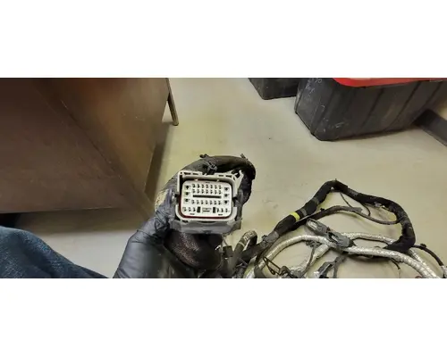   Engine Wiring Harness