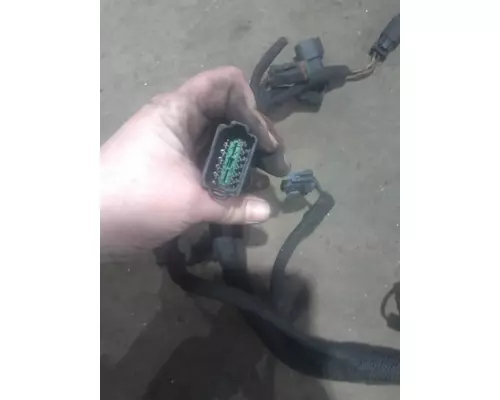   Engine Wiring Harness