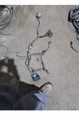   Engine Wiring Harness