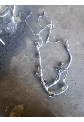   Engine Wiring Harness