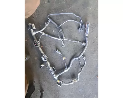   Engine Wiring Harness