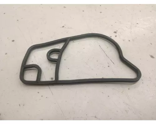   Gasket, Engine Misc