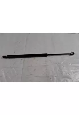  Hood Strut