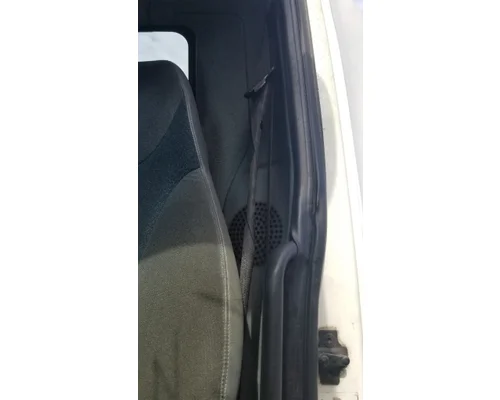   Seat Belt