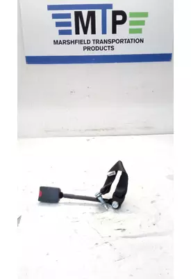   Seat Belt