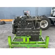 Engine Assembly CUMMINS 6CT8.3