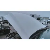 Hood FORD F550SD (SUPER DUTY) (1811) LKQ Heavy Truck - Goodys