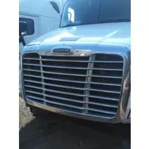 Grille FREIGHTLINER CASCADIA 113 EVOLUTION LKQ Plunks Truck Parts And Equipment - Jackson