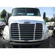 Hood FREIGHTLINER CASCADIA 113 LKQ Heavy Truck - Tampa