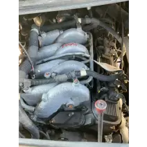 Engine Assembly GM/Chev (HD) 8.1L GAS