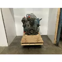 Engine--Assembly International Dt466e