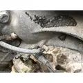 ALLIANCE AXLE RT40-4 Cutoff Assembly (Housings & Suspension Only) thumbnail 13