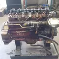 ALLIS CHALMERS 545H Engine Assembly thumbnail 6