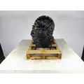 ALLISON 2400 TRANSMISSION ASSEMBLY thumbnail 4