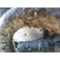 ALLISON MT653 TRANSMISSION ASSEMBLY thumbnail 5