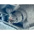 Allison 1000 SERIES Transmission Assembly thumbnail 9