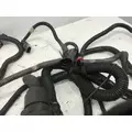 Allison MD3560P Transmission Wire Harness thumbnail 2