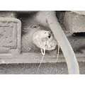 Allison MT653 Transmission Assembly thumbnail 18