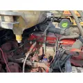 BLUE BIRD COMMERCIAL BUS Complete Vehicle thumbnail 20