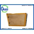 Blue Bird AARE Grille thumbnail 1