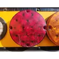 Blue Bird BB Conventional Tail Lamp thumbnail 1