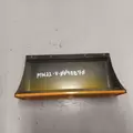 Blue Bird Vision Grille thumbnail 5