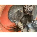 Bobcat V623 Equip Axle Pivot Mount thumbnail 1