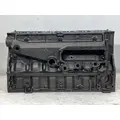 CATERPILLAR 3116E Cylinder Block thumbnail 3