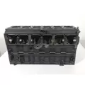CATERPILLAR 3116 Cylinder Block thumbnail 1
