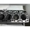 CATERPILLAR 3116 Cylinder Block thumbnail 14